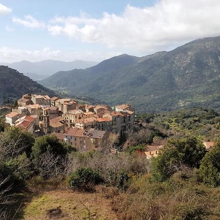 Casa Corsa Villa Santa-Lucia-di-Tallano Exteriör bild